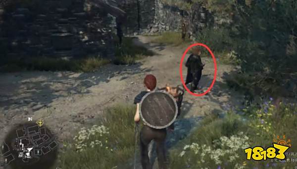 龙之信条2兄弟的努力支线怎么做 兄弟的努力支线流程攻略