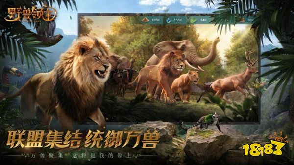 进军新赛道，“买量高手”贪玩游戏这次盯上了SLG?