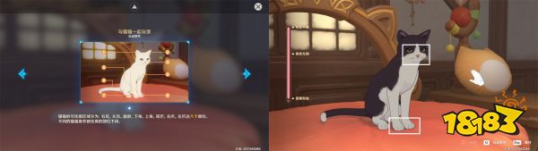 原神茸茸城堡大喵險第四天攻略 4.6擼貓活動第四天攻略分享