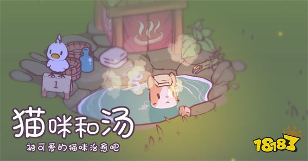 猫咪和汤国际版2024