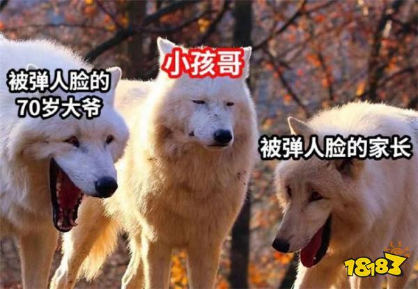 小孩哥彻底被针对？蛋仔派对充值玩家将强制人脸验证