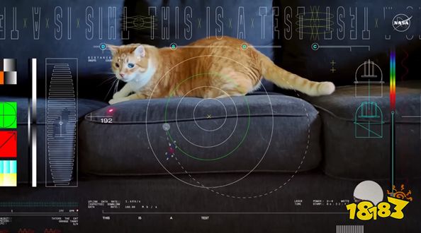 跨越星际的“猫片”：宇宙探索之路新篇章