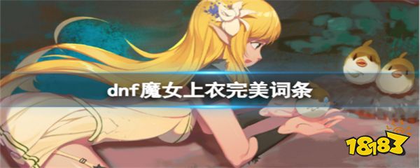 dnf魔女上衣完美属性