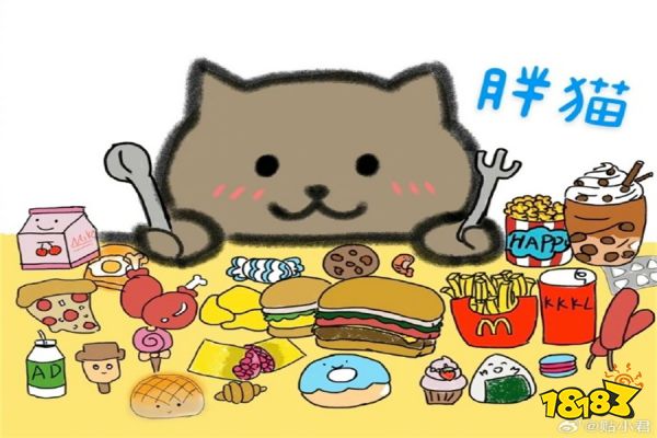 主播酷酷的鑫质疑胖猫事件大结局，这种热度也蹭不怕遭报应吗？