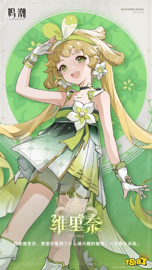 鸣潮鉴心阵容怎么搭配 鉴心最强阵容攻略