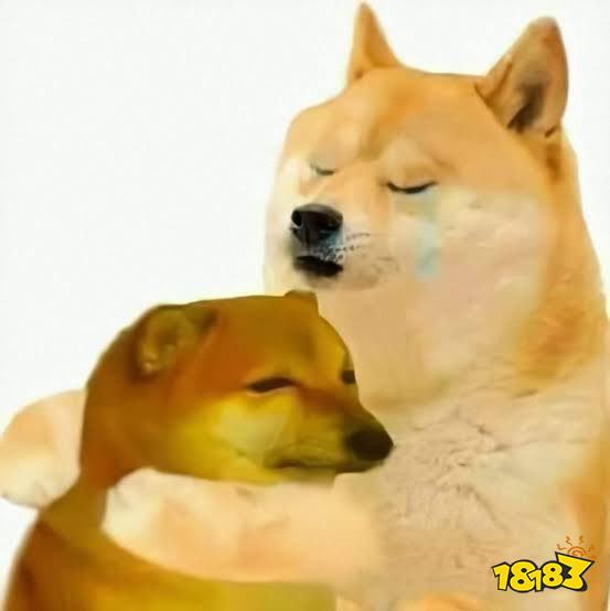 存在主义meme小狗「Kabosu」已于今早去世