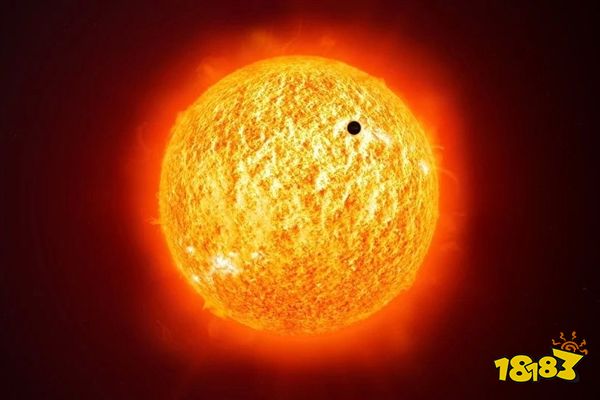 印度高温天气热死已超两百人！近40只猴子跳井自杀！