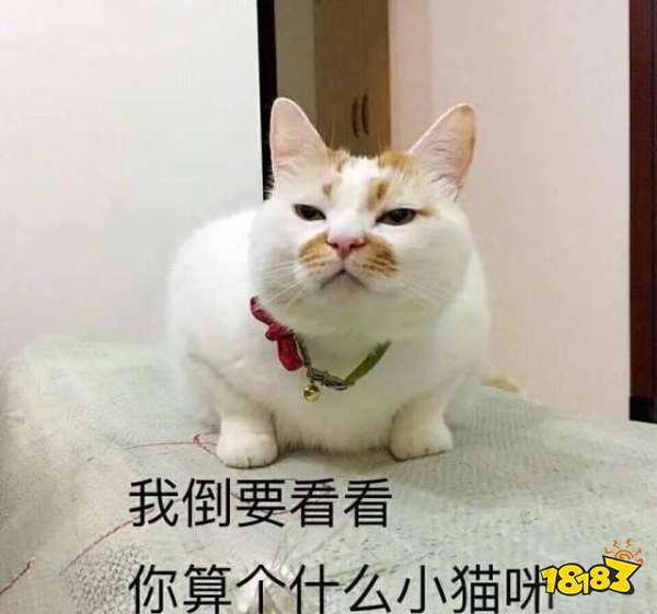 我們這些端游愛好者，為什么會(huì)如此期待一款“手游”