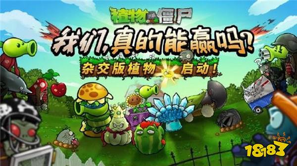 《植物大战僵尸杂交版》作者初中毕业 做游戏改变他人生