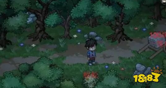 大侠立志传全流程通关攻略 大侠立志传游戏攻略分享