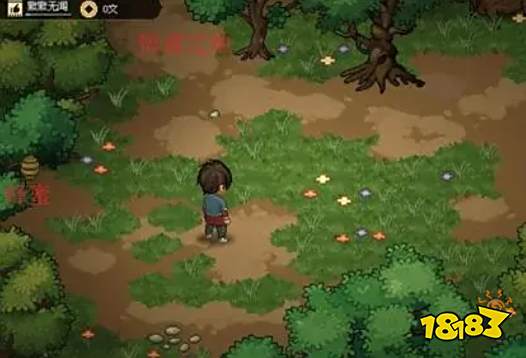 大侠立志传全流程通关攻略 大侠立志传游戏攻略分享