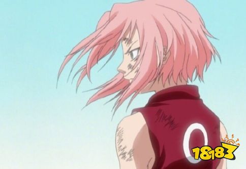 给直男哥干不会了？日网票选“JUMP系”最喜欢的女性角色：春野樱女榜第一