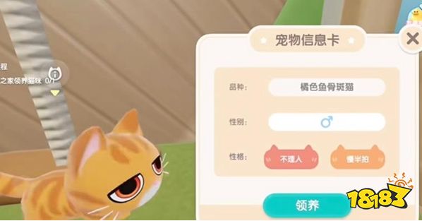 心动小镇怎么养猫 养猫攻略分享