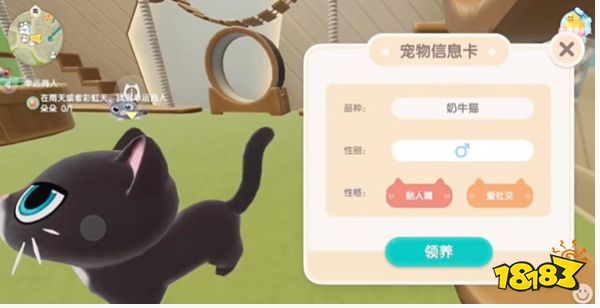 心动小镇怎么养猫 养猫攻略分享