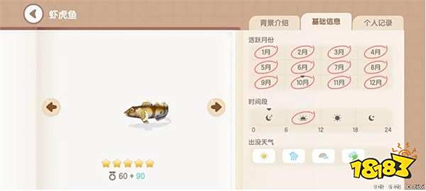 心动小镇虾虎鱼怎么钓 虾虎鱼出没时间及方法介绍