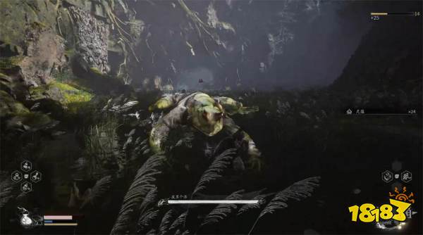 黑神話悟空翠竹林蛇徑全劇情流程 第一回翠竹林蛇徑圖文攻略