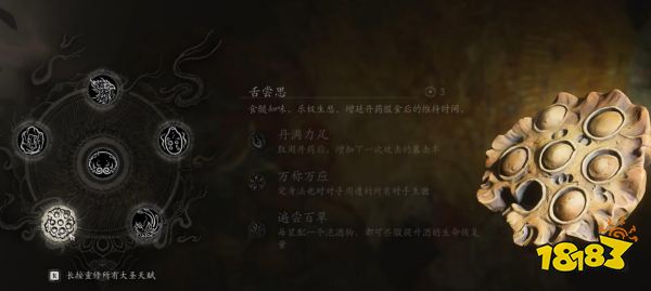 黑神話悟空根器怎么選 黑神話根器推薦方案大全