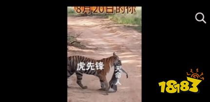 整个大活!网友分享《黑神话》梗图:广智救我!SBI大失败