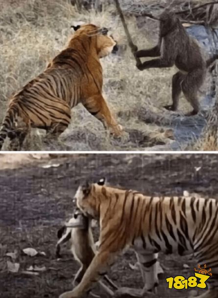 整个大活!网友分享《黑神话》梗图:广智救我!SBI大失败