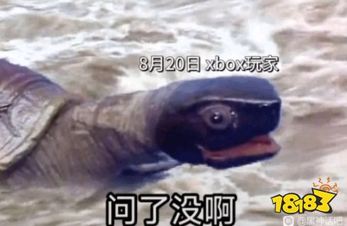 整个大活!网友分享《黑神话》梗图:广智救我!SBI大失败