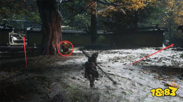 黑神話悟空黃花觀金光苑全劇情流程 盤絲嶺黃花觀金光苑圖文攻略