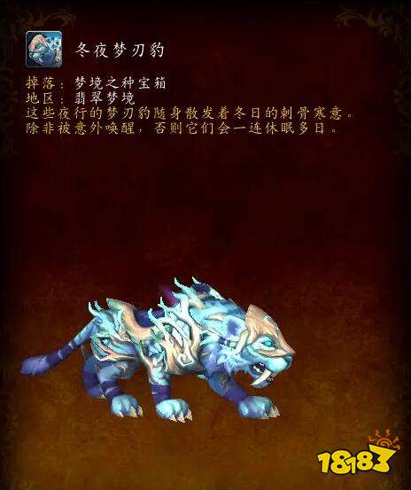 魔獸世界冬夜夢刃豹怎么獲取 正式服冬夜夢刃豹獲取方法介紹