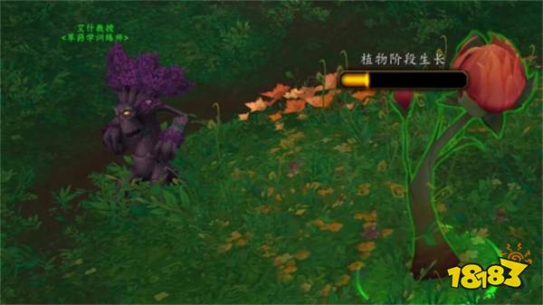 魔獸世界正式服赭色夢爪獍怎么獲取 正式服赭色夢爪獍獲取方法介紹
