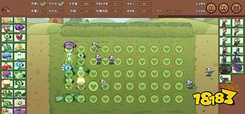 植物大戰僵尸LG版