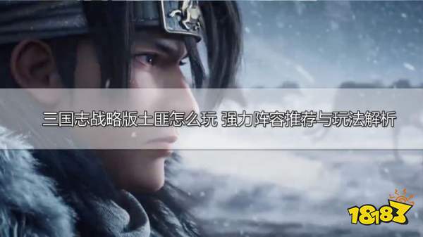 三国志战略版土匪怎么玩 土匪玩法攻略详解