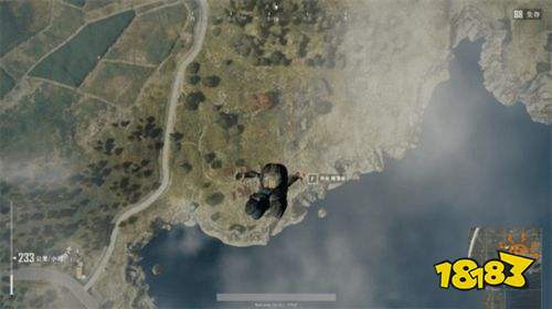 和平精英國際服2024最新版下載