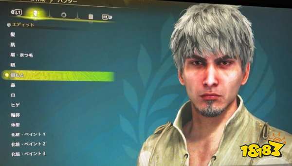 皮卡丘艾露猫，《怪物猎人：荒野》捏脸“佳作”赏析，该来的总会来的