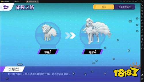 宝可梦大集结正式服下载