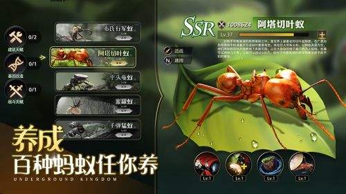 小小蚁国哪个蚂蚁厉害 小小蚁国蚂蚁排行榜