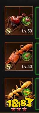 小小蚁国37官网下载