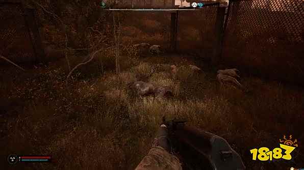 潜行者2天网恢恢任务攻略 潜行者2天网恢恢任务怎么做