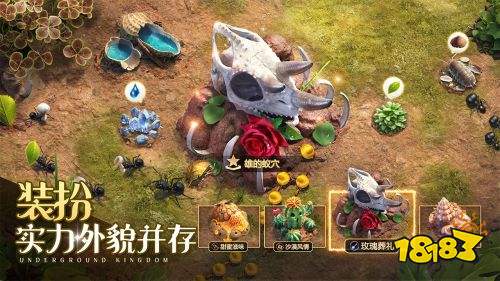 小小蚁国官方版手游下载