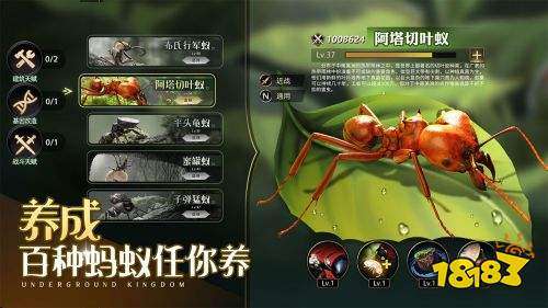 小小蚁国官方版手游下载