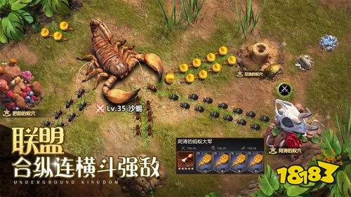 小小蚁国九游版下载