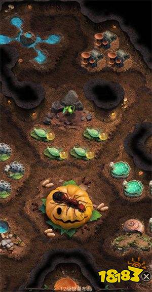 小小蚁国联机版下载