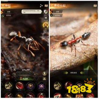 小小蚁国八门神器版