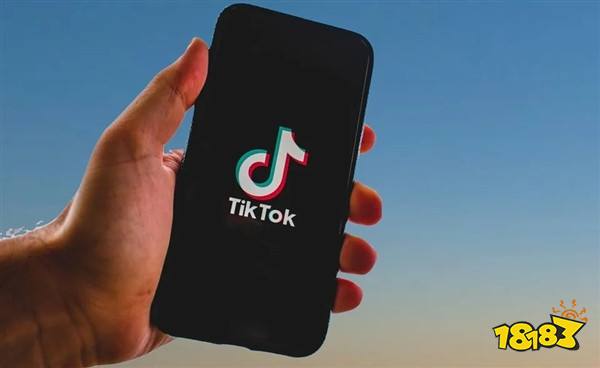 TikTok请求美国最高法院暂缓2025年1月生效的禁令