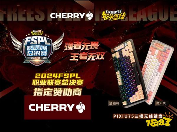 王者无双  CHERRY赞助2024FSPL职业联赛总决赛