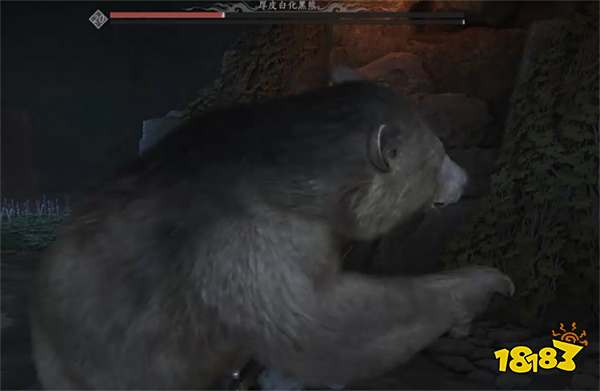 燕云十六声阴阳如影任务攻略 燕云十六声阴阳如影任务怎么做