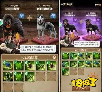 荒野迷城官方版下载