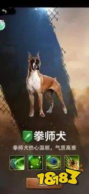 荒野迷城官方版下载