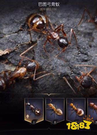 小小蚁国37官方版下载