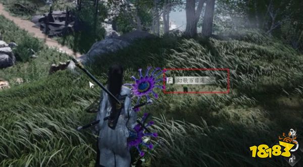 燕云十六聲幻歌百目蓮怎么采集 幻歌百目蓮蹊蹺獲取方法