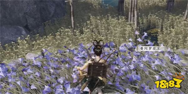 燕云十六声纸人夭任务攻略 纸人夭奇遇任务怎么做