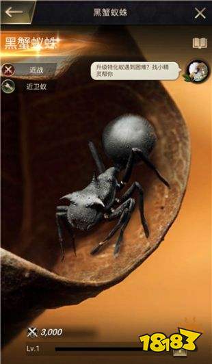 小小蟻國光照合約免費版下載