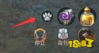 传奇世界怎么控制宠物与教头 传奇世界宠物与教头控制方法